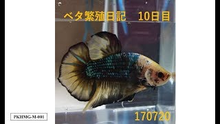 Video <span aria-label=