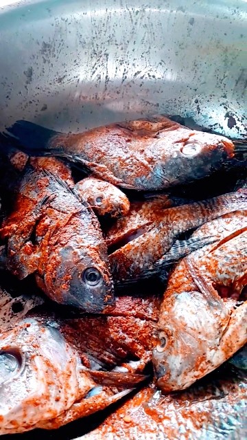 Fried Fish village #shorts 👨🍳🍽️
