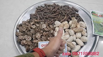 chuối hột rừng tây bắc , chuối hột rừng tây nguyên giá bao nhiêu ?