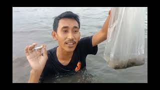 MENCARI EMPOT AYAM DI TENGAH  LAUT DAPAT BANYAK MANTAP KAWAN!!