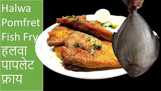 Halwa Pomfret Fish Fry | हलवा पापलेट फ्राय |पापलेट तवा फ्राय| Fish Fry | Recipe by Paripurn Kitchen