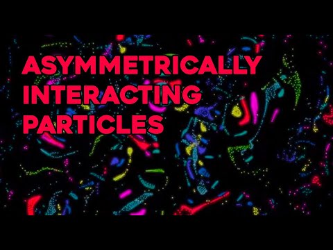 Asymmetrically interacting particles - First version