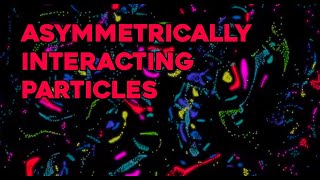 Asymmetrically interacting particles - First version Net Worth