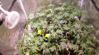 Update and the scam prop64