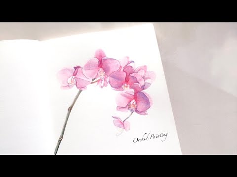 赤い蘭の花　水彩画　レランセナ 赤い蘭の花 水彩画 レランセナ hand-drawn-botanical-
