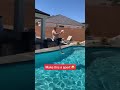 The Most Fun Things To Do At A Pool image