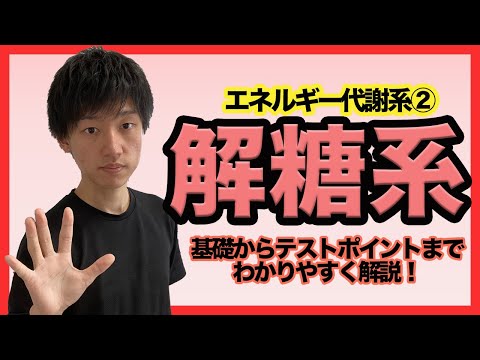 【エネルギー代謝②解糖系】理解して暗記激減！？わかりやすすぎる解糖系解説！