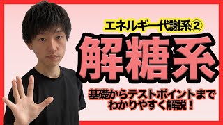 【エネルギー代謝②解糖系】理解して暗記激減！？わかりやすすぎる解糖系解説！