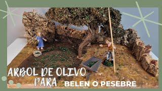 ARBOL OLIVO CENTENARIO PARA BELEN O PESEBRE / ARBOLES PARA BELEN #belenismo #pesebre #olivo