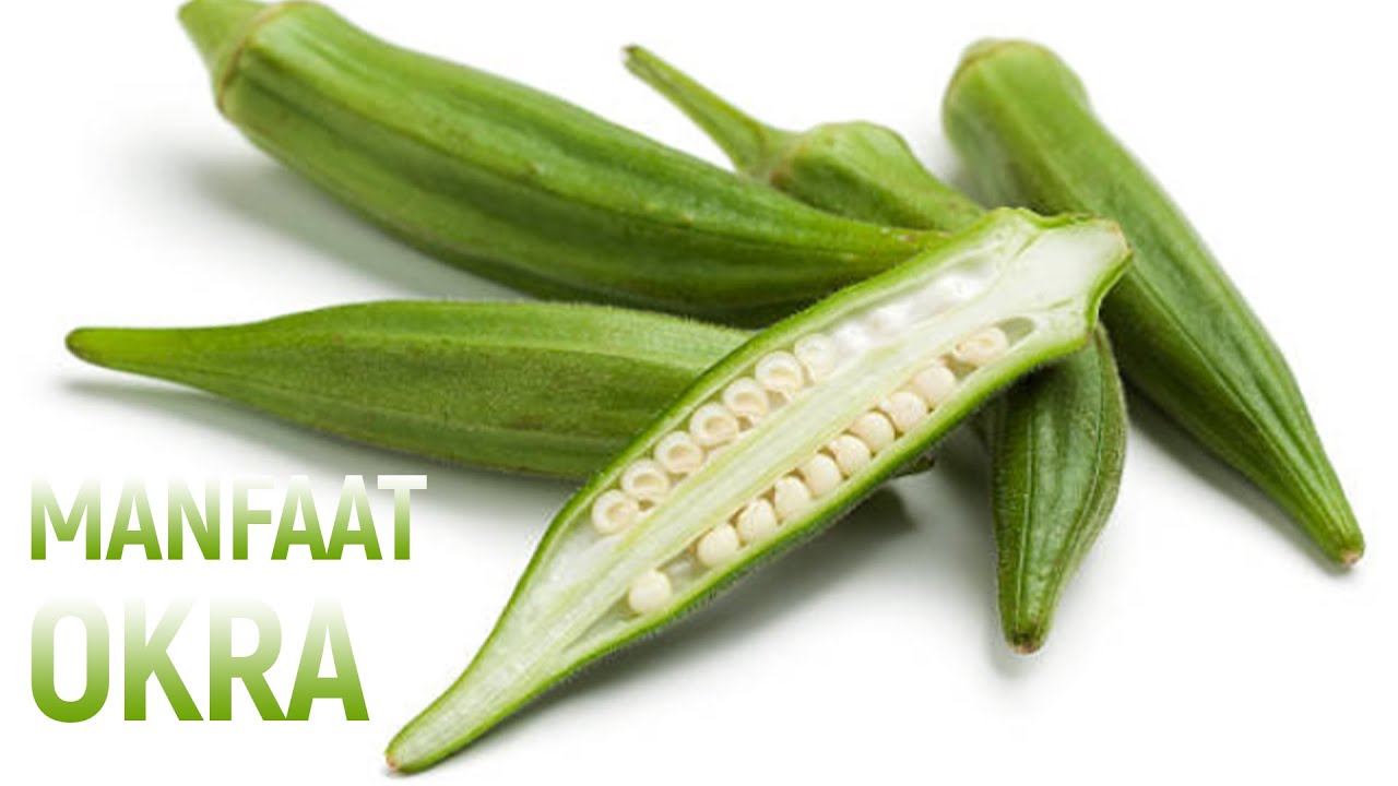 Luar Biasa, 12 Manfaat Okra untuk Kesehatan YouTube