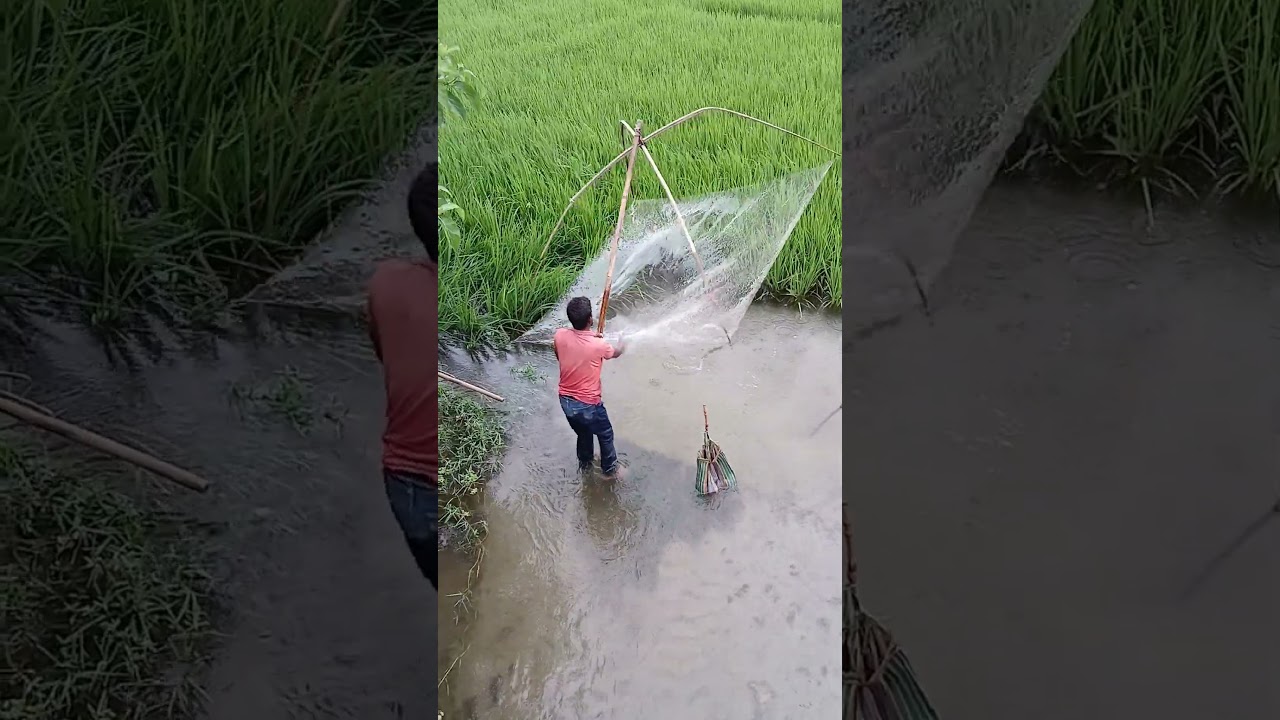 Amazing Hand Net Fishing 