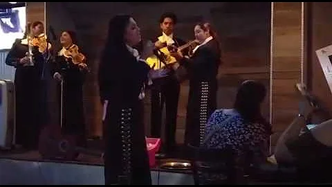 Sufriendo a solas- Sonia Chairez
