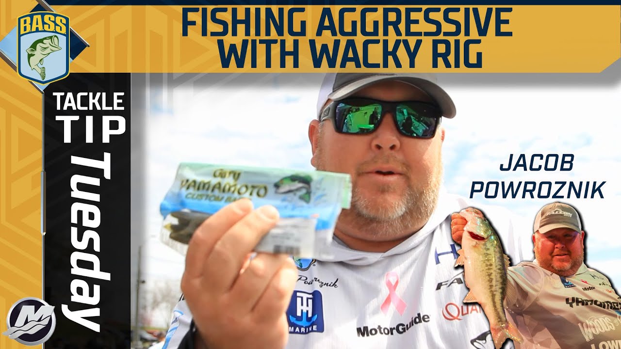 Fishing FAST for big bass with a Wacky Rig YouTube