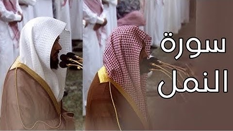 سورة النمل | المصحف الصوتي والمرئي من صلاتي التراويح والتهجد بالمسجد النبوي لعام 1445هـ.