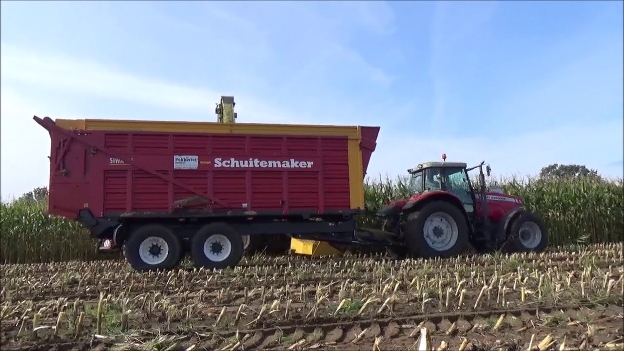 Maïs hakselen door Pekkeriet Dalfsen