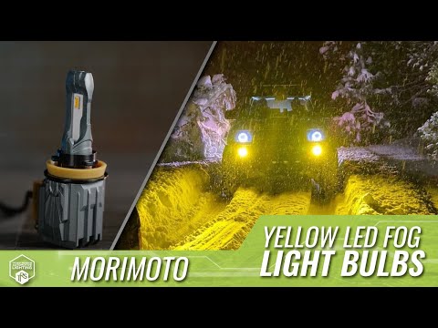 Yellow Vs. White Fog Lights: Makes A Better Decision for Your Car