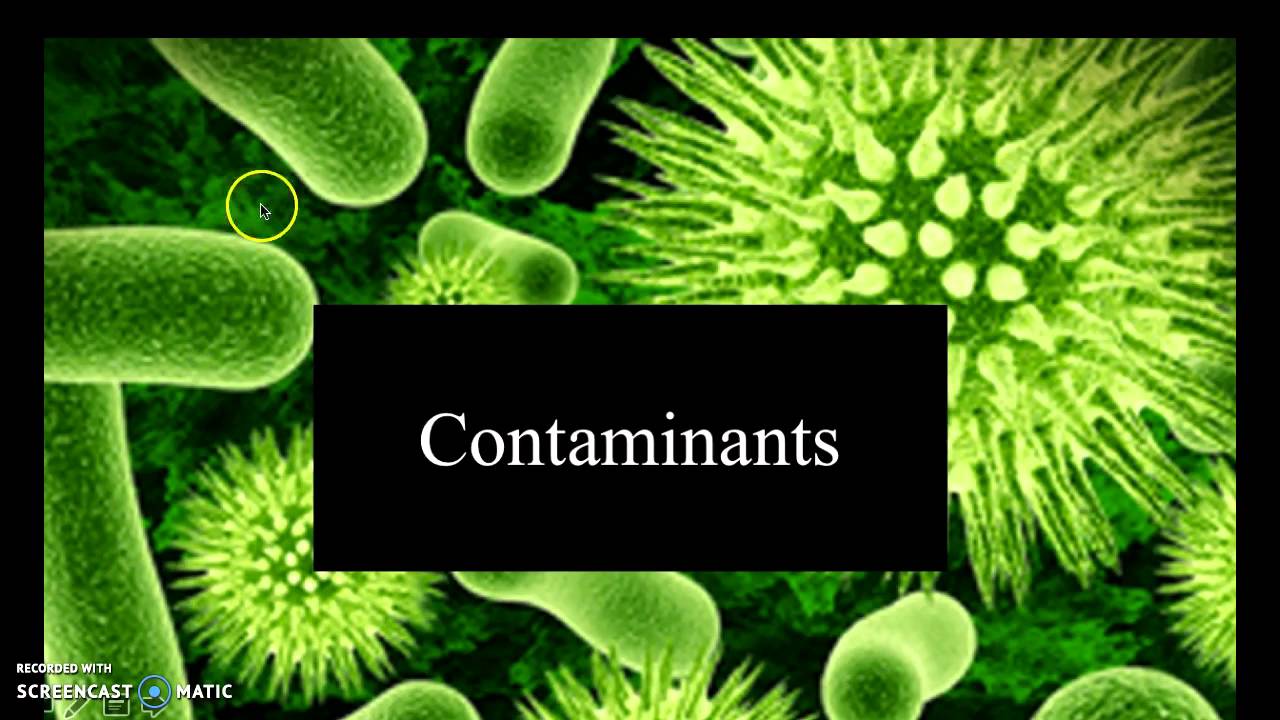 Final Term Presentation