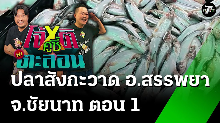 ปลาสังกะวาด ตอน 1 : โจ้ x ติ คู่ซี้พาตะลอน | 19 ก.ค. 68 | ตะลอนข่าวสุดสัปดาห์