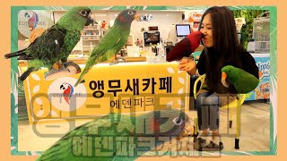 거제 앵무새카페 에덴파크거제점
