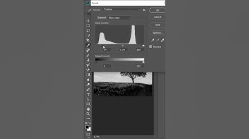 Remove background from tree in Photoshop #photoshoptutorial #adobesoftware