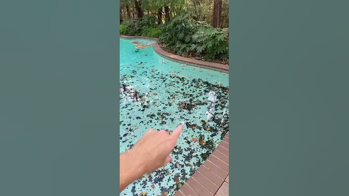 Best Pool Cleaning Video!