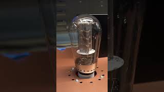 Triode Labs - 2A3 RSR MKI Mono Tube Power Amplifier