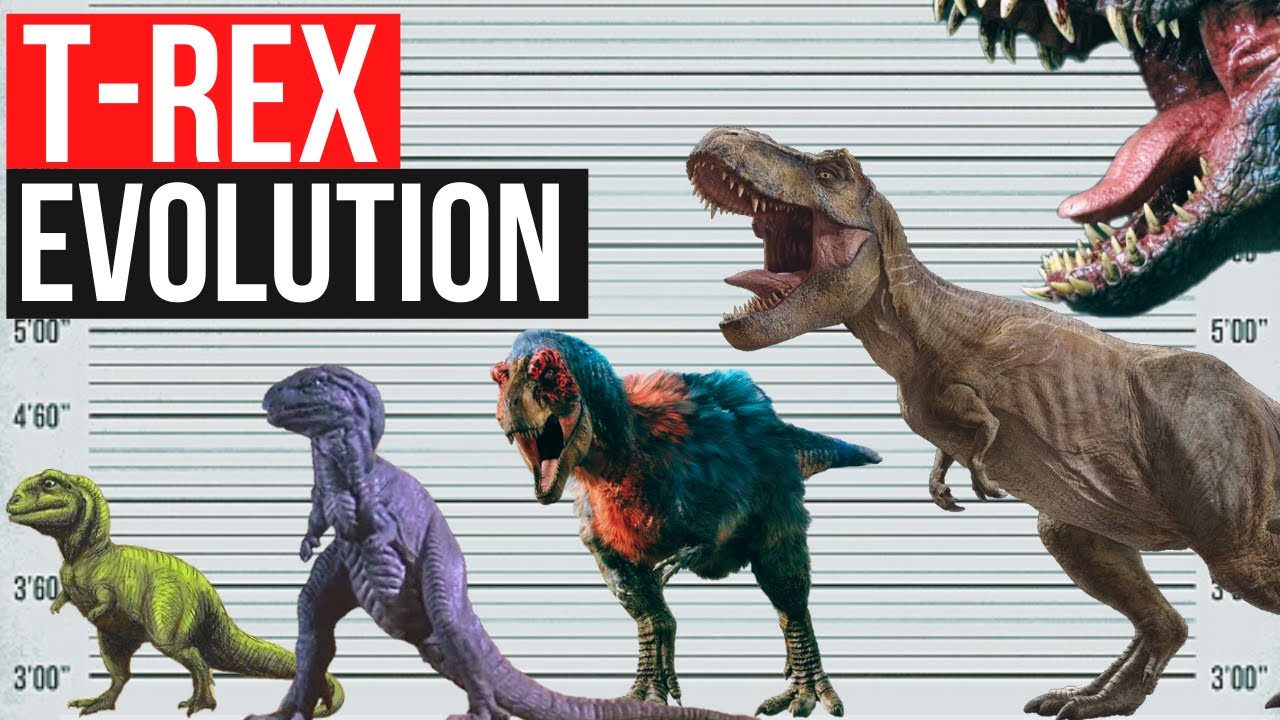 1900 2022. Вастатозавр рекс мир Юрского периода. Evolution of the t. Rex in the paleoart.. Evolution of t-Rex in movies and t.v Size Comparison(Edited) ￼ alecraptor1 7,63 тыс. Подписчиков.