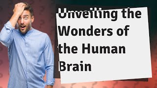 How Does the Human Brain Function? Exploring Insights from National Geographic's Brain 101