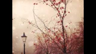 The Cinematic Orchestra Arrival of the Birds & Transformation