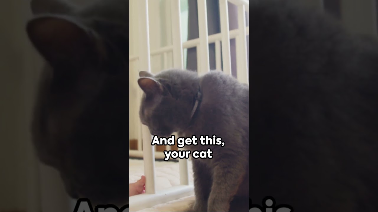 Did you know this fact? 