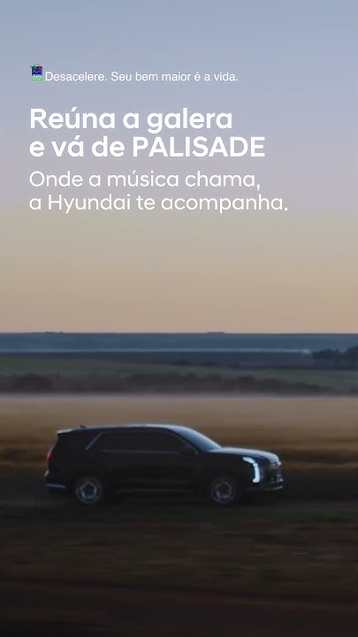 Reúna a galera e vá de PALISADE