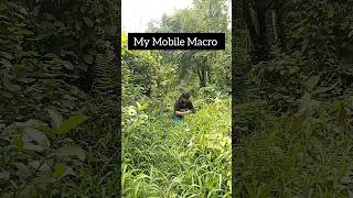 My mobile macro collection || #shortsfeed #shortsvideo #nature #shortsviral #insects #motorola