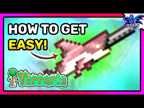 How To Upgrade Minishark To Megashark