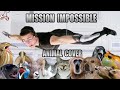 Mission impossible animal cover