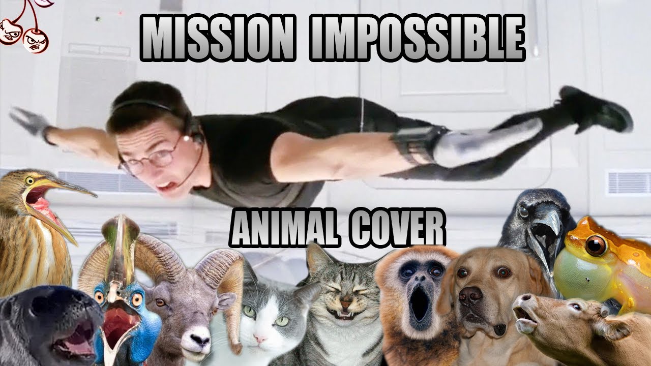 Mission Impossible (Animal Cover)