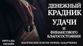 КРАДНИК денег и финансовой удачи. Чёрная нужда, сброс долгов, зависть. Отбойник крадника.