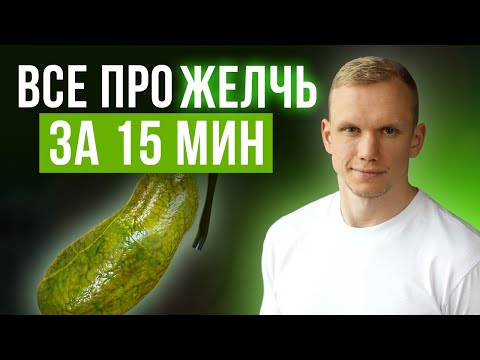 Что такое желчь и как с ней работать? / Полезные продукты для оттока желчи