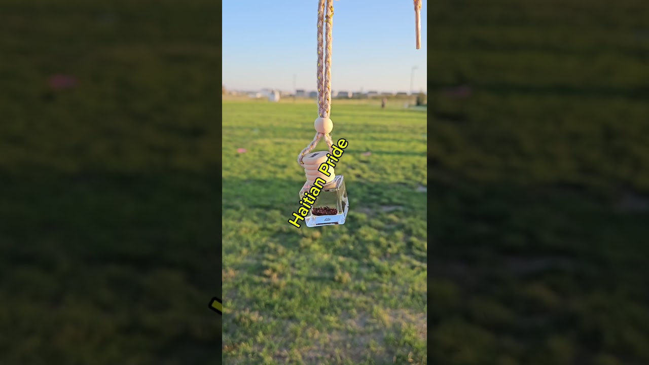 Six scents, endless freshness! 🌟🚘