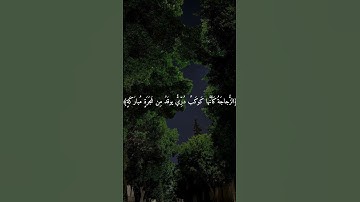 سورة النور 🤍 ( القارئ شريف مصطفى )
