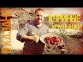 КУРИНЫЕ КРЫЛЬЯ | В КАЗАНЕ НА КОСТРЕ | CHICKEN WINGS IN A POT OVER THE FIRE