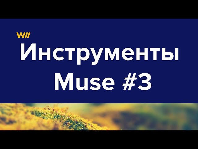 Инструменты дизайна в Adobe Muse: «Текст», «Прямоугольник» и Crop Tool #3