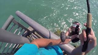 Sebastian Inlet Fishing is Exciting!!!!!