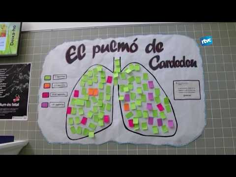 Vídeo: Celebrant El Dia Sense Tabac