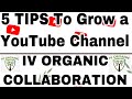 Top 5 YouTube Tips (HOW TO) | Collaboration Invitation w/ IV Organic®