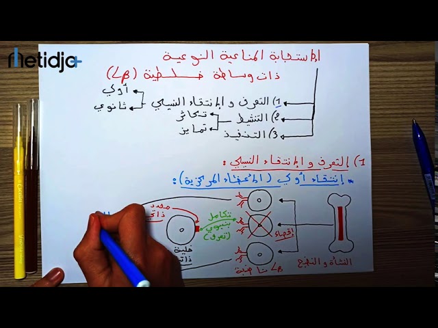 المناعة : الجزء 7 ( المناعة الخلطية : مرحلة التعرف و الإنتقاء النسيلي )