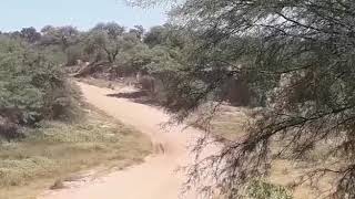 Malanzan La Rioja - Gonzalo Pelleriti