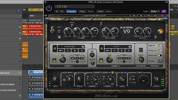 Waves PRS Super Models