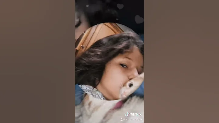 My cat died an this is for him