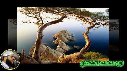 78 القارىء غسان الشوربجي سورة النبأ