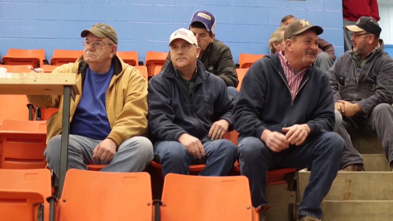 Cattle Auction Blue Grass Stockyards East YouTube
